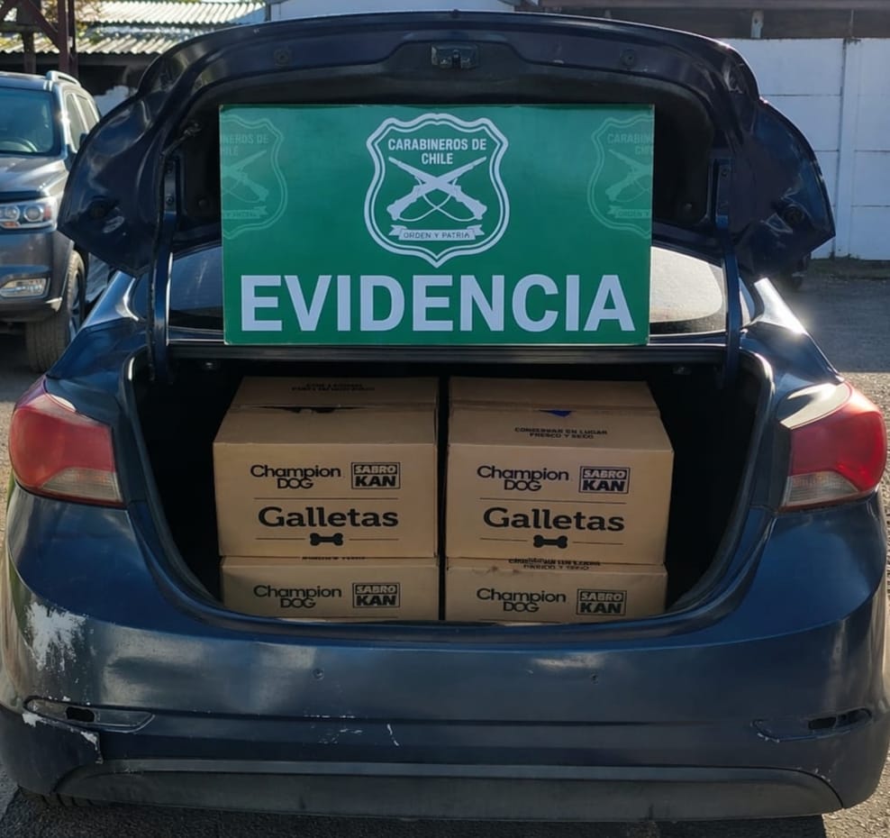 WhatsApp Image 2026 04 22 at 1.58.13 PM