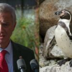 Científicos chilenos alertan por impacto de decisiones ambientales tras llegada de nuevo gobierno 3 Cientificos chilenos alertan por impacto de decisiones ambientales tras llegada de nuevo gobierno