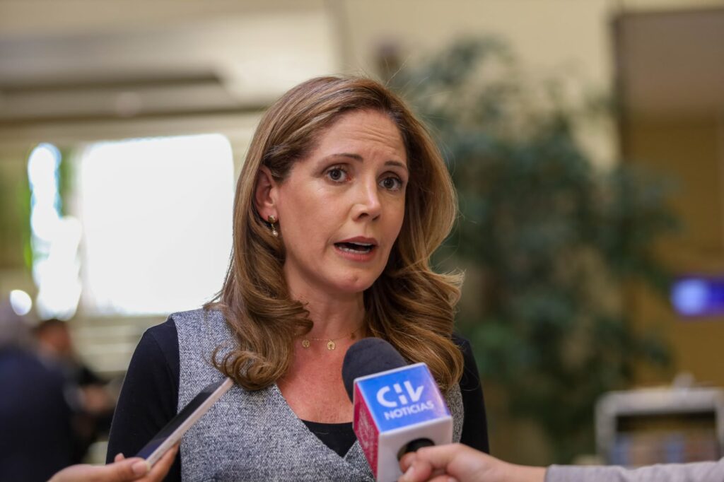 Diputada Macarena Santelices