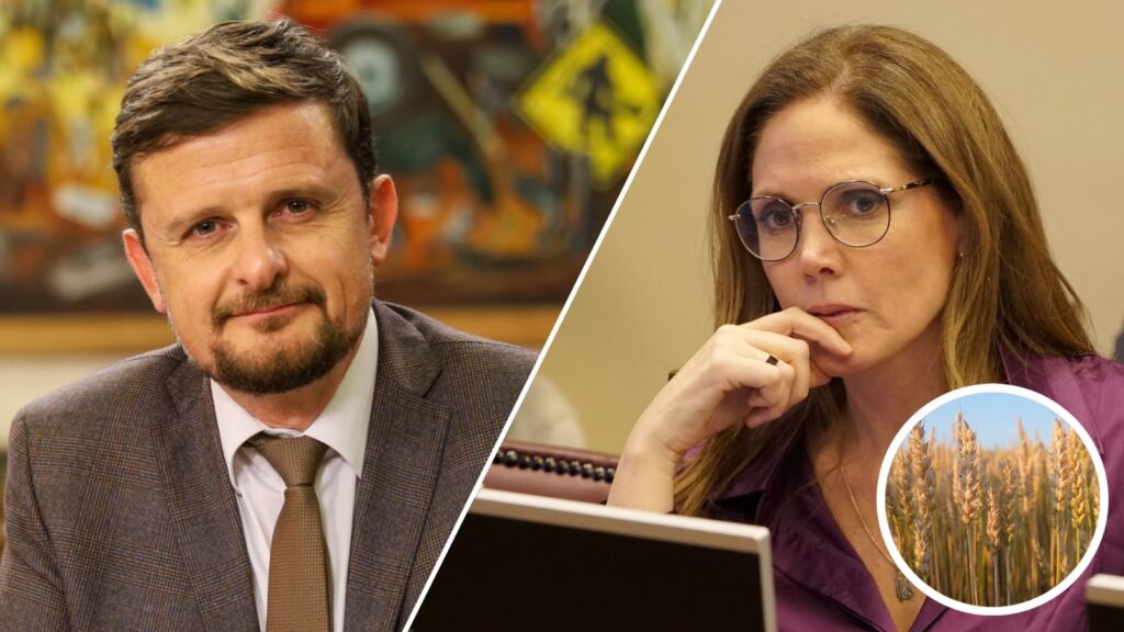 Diputados Stephan Schubert y Macarena Santelices