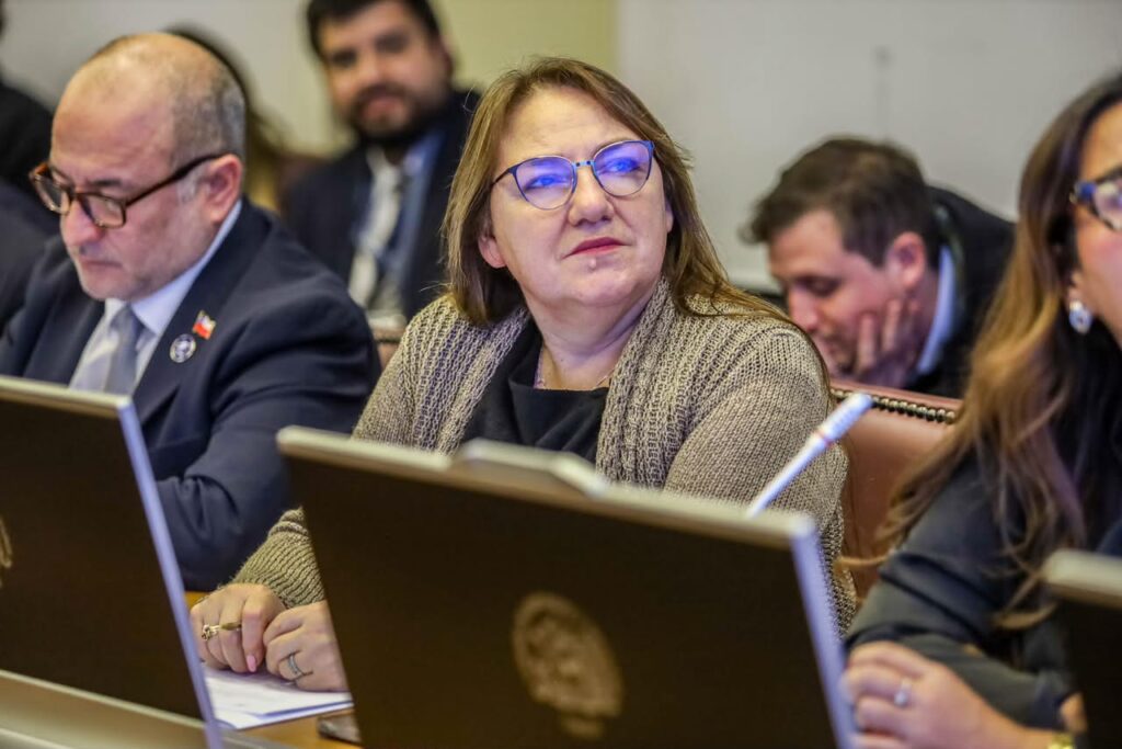 Diputada Flor Contreras 3 2 1
