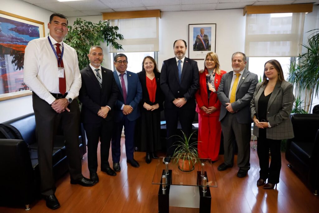 Diputada Flor Contreras solicitó a ministro del Trabajo inversión en obras públicas para combatir el desempleo femenino en La Araucanía y plantea cambios al proyecto de Sala Cuna Universal 1 Reunion de Bancada PDG con ministro Tomas Rau 1