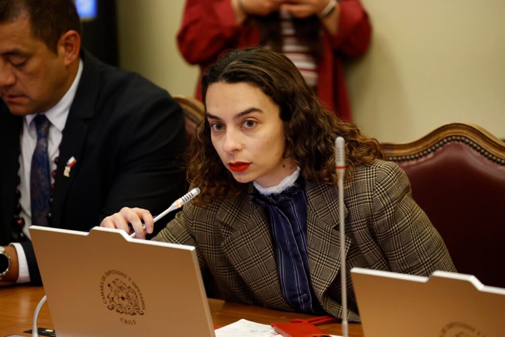 Diputada Javiera Rodriguez 16